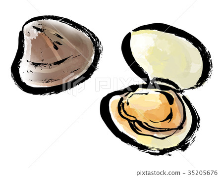 Brush painting clam Brush painting clam 35205676