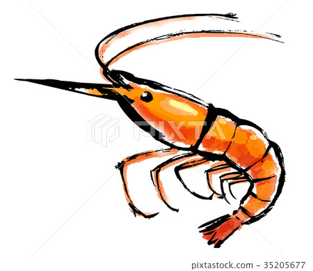 蝦蝦 蝦蝦 35205677