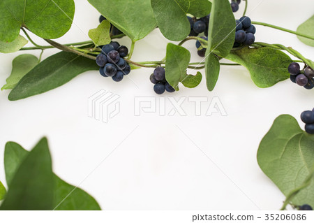 Fruit frame 35206086