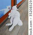 Yawning white cat (oil painting) 35208329