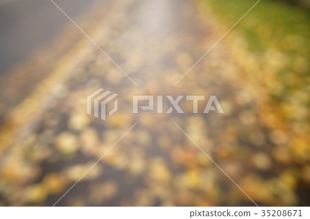 bokeh background of autumn fallen leaves 35208671