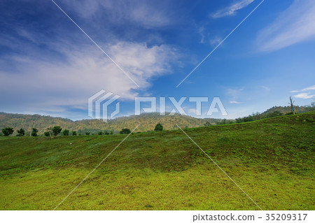 green field park and blue sky 35209317