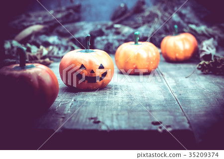 Halloween pumpkin, trick or treat in autumn season 35209374