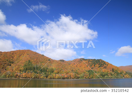 Autumn leaves by the shore of Lake Shinohara Autumn leaves by the shore of Lake Shinohara 35210542