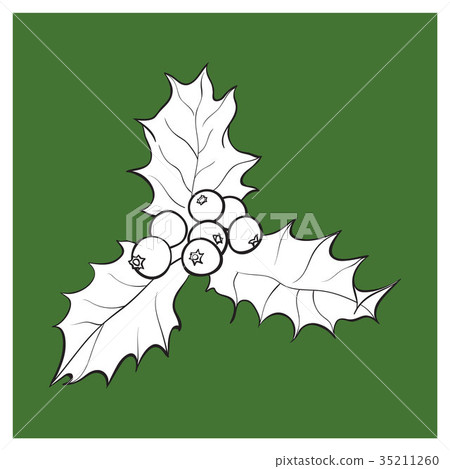 Mistletoe branch with leaves and berries Mistletoe branch with leaves and berries 35211260