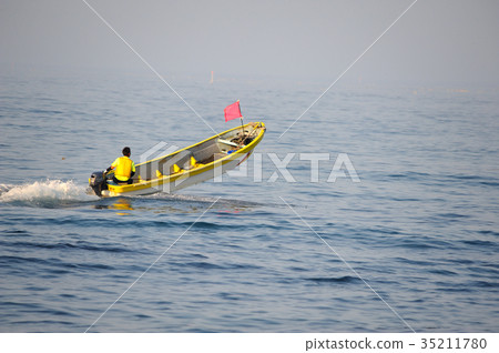 清晨海帶釣魚 35211780