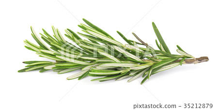 Fresh rosemary isolated on white background 35212879