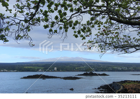 Mauna Kea seen from Hilo Mauna Kea seen from Hilo 35213111