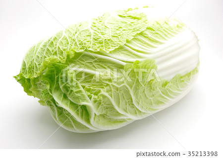 中國的白菜 35213398