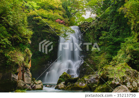 White Falls of Nazo 35213750