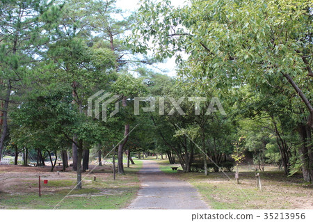 Landscape of Sunagawa Park 35213956