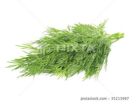 Sprig of fresh green dill isolated on white Sprig of fresh green dill isolated on white 35213997