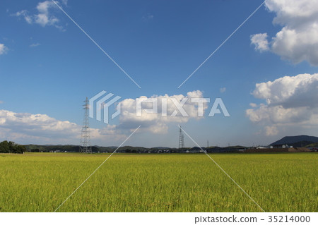 Kibiji鄉下風景 Kibiji鄉下風景 35214000