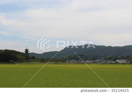 Bikkōji寺廟長凳風景 35214015