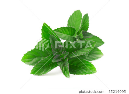 Fresh green sprig of mint isolated on white 35214095
