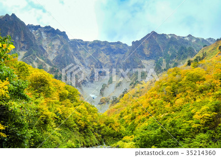 秋葉的Tanigawa Takeichi Nokura 35214360