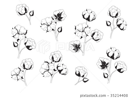 Cotton flower set. Natural material floral icons. 35214408