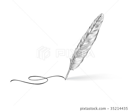Feather pen icon. Calligraphy sign. Feather pen icon. Calligraphy sign. 35214435