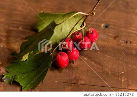 Studio shot hawthorn berries on wooden background Studio shot hawthorn berries on wooden background 35215278