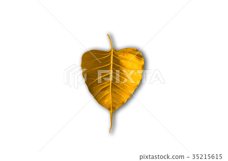 The leaves of the Bodhi tree symbolize Buddhism. The leaves of the Bodhi tree symbolize Buddhism. 35215615