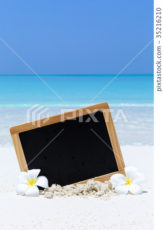 Empty blackboard on sandy beach Empty blackboard on sandy beach 35216210