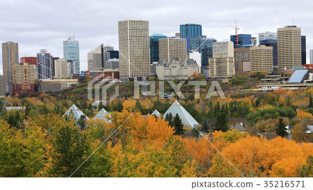 Edmonton, Canada with colorful aspen in foreground 35216571