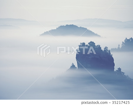 Dreamy landscape lost in thick fog.Fantastic dream Dreamy landscape lost in thick fog.Fantastic dream 35217425