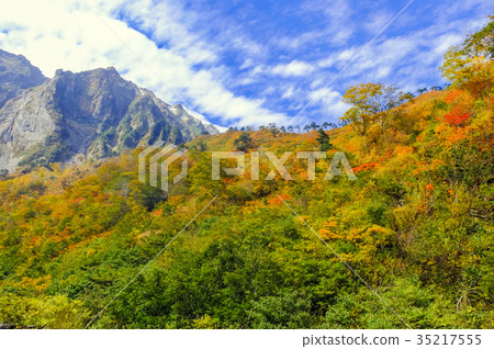 秋葉和雪巖石牆壁 35217555