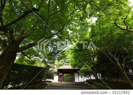 Yasuda Temple Yasuda Temple 35217842