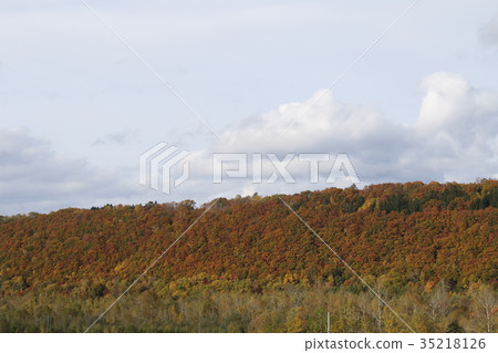 Asahidake秋葉 35218126