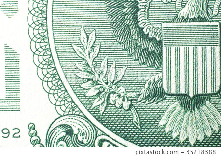  United States dollar bill olive (13 leaves and fruits) 35218388