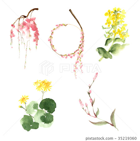 Five flowers 35219360