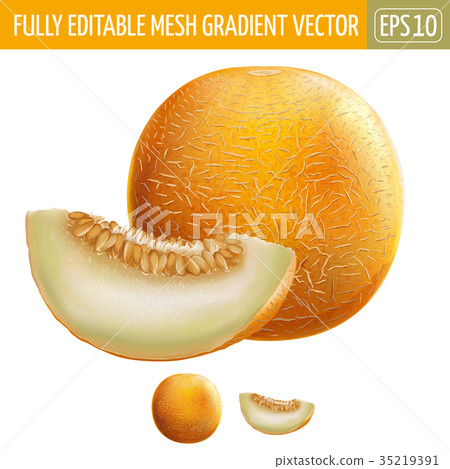 Melon on white background. Vector illustration Melon on white background. Vector illustration 35219391