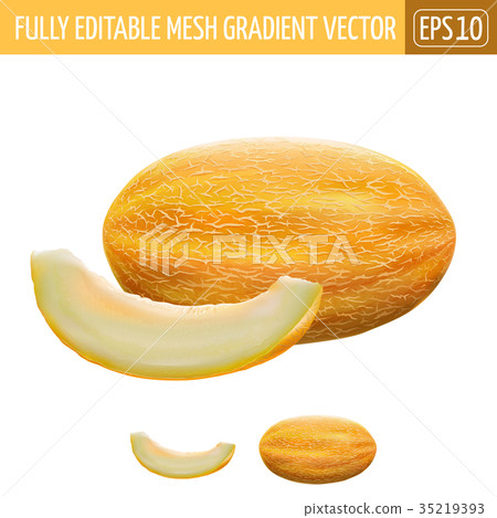 Melon on white background. Vector illustration Melon on white background. Vector illustration 35219393