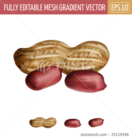 Peanuts on white background. Vector illustration Peanuts on white background. Vector illustration 35219396