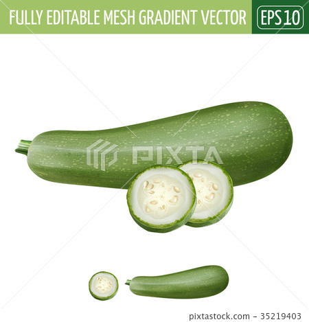 Zucchini on white background. Vector illustration Zucchini on white background. Vector illustration 35219403