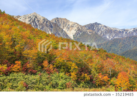 Happo One Happo One 35219485