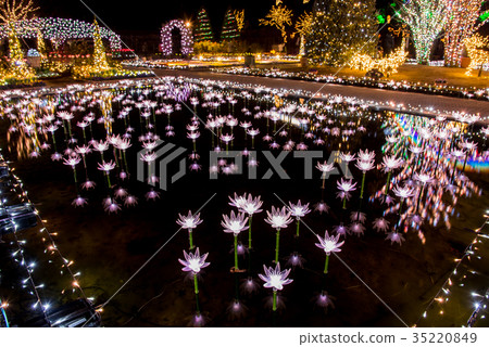 Ashiga Flower Park illuminations 35220849