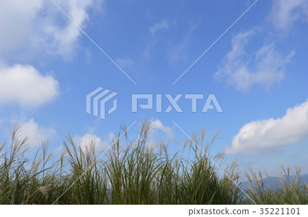 Suzuki field 35221101