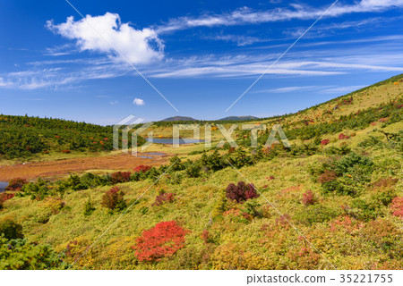 Autumn Kamonuma Autumn Kamonuma 35221755