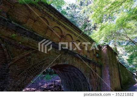 京都鮮綠色 京都鮮綠色 35221882