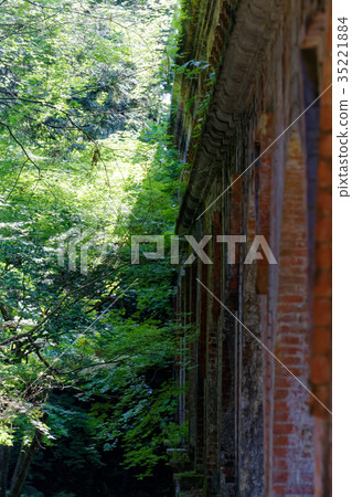 京都鮮綠色 京都鮮綠色 35221884