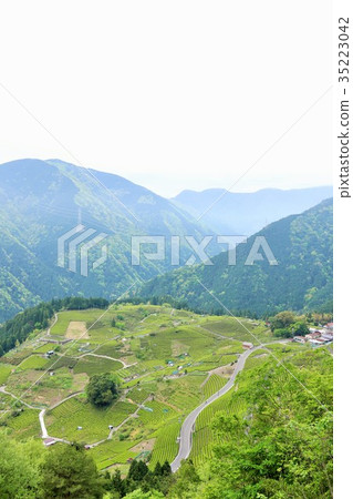 Machu Picchu in early summer fresh green Gifu 35223042