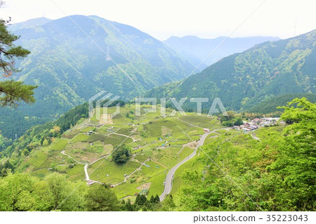 Machu Picchu in early summer fresh green Gifu Machu Picchu in early summer fresh green Gifu 35223043