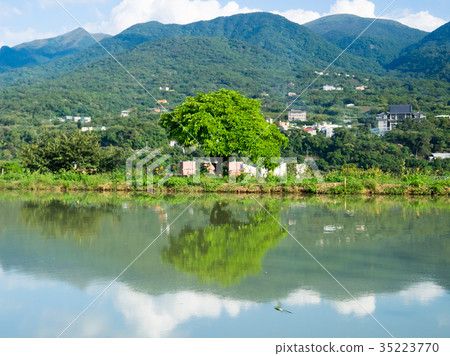 Beautiful pond 35223770