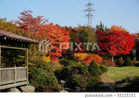平岡樹藝術中心秋葉 平岡樹藝術中心秋葉 35225251