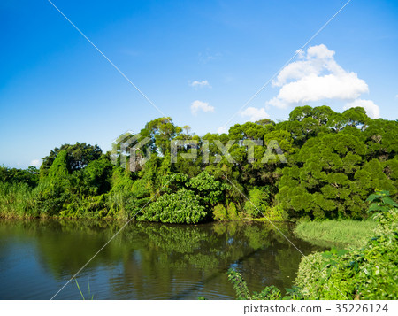 Beautiful pond Beautiful pond 35226124