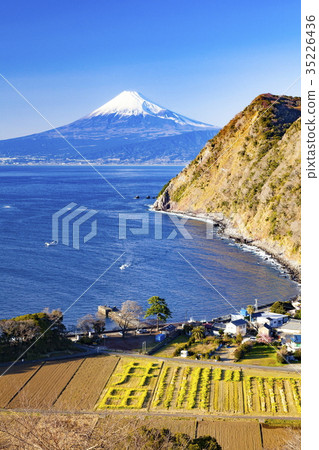 從伊豆半島西海岸看見的冬天富士 照片素材 圖片 35226436 Pixta圖庫
