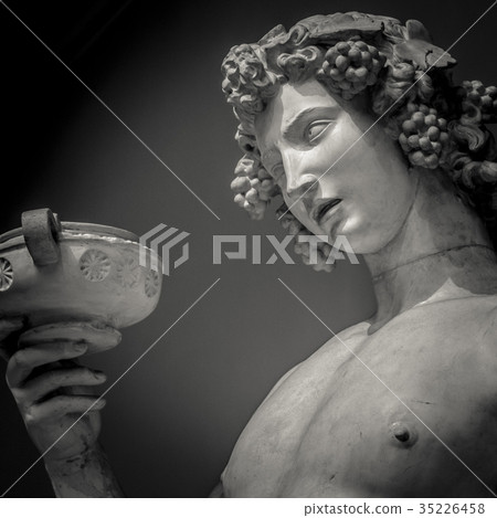 Dionysus Bacchus Wine statue portrait 35226458
