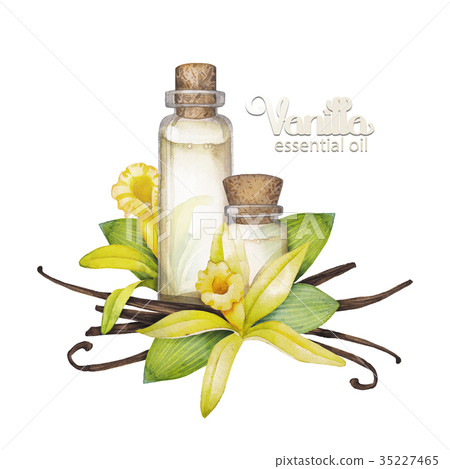 Watercolor vanilla oil 35227465